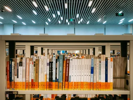 Slottio Kazino Mobilioji programa